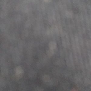 Meet your Posher, Edward